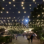 resorts in Delhi NCR