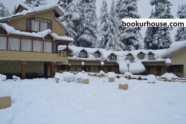 Affordable Hotels in Manali in 2024