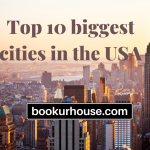 Top 10 biggest cities in the USA