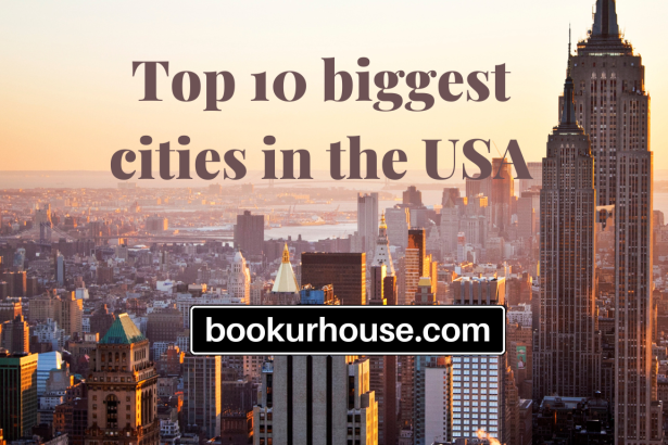 Top 10 biggest cities in the USA