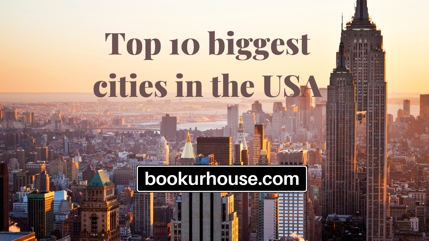 Top 10 biggest cities in the USA