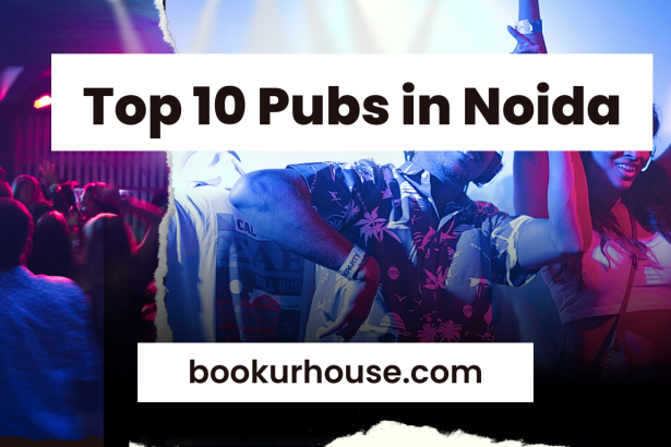 Top 10 Pubs in Noida