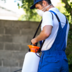 Pest Control Service: