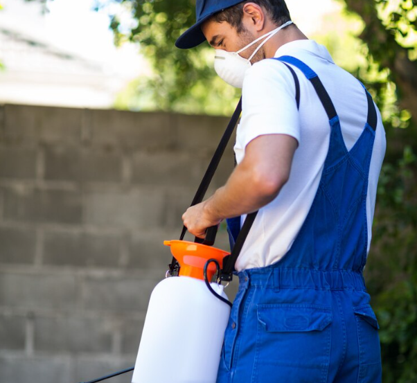 Pest Control Service: